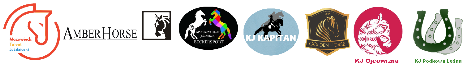 Logotypy Organizatorów